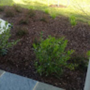 Meet your Posher, Teneika